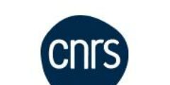 Logo client