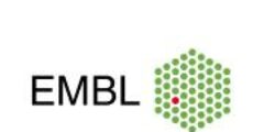 Logo client